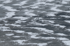 P1000156