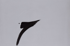 IMG_8017-scaled